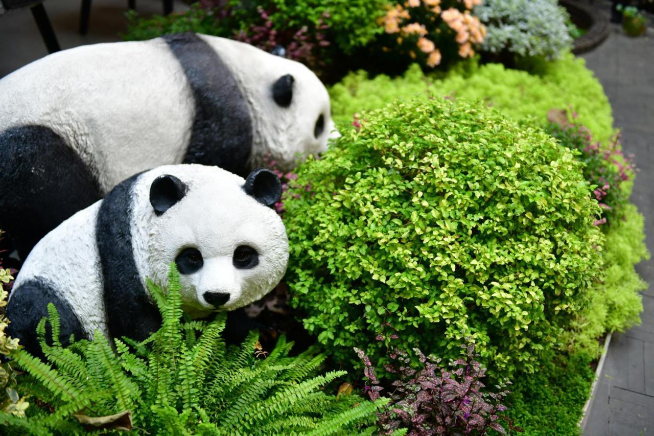 Xishu Garden Inn - Travel Agency Service - Car Rent Service - English Speaking Chengdu Eksteriør bilde